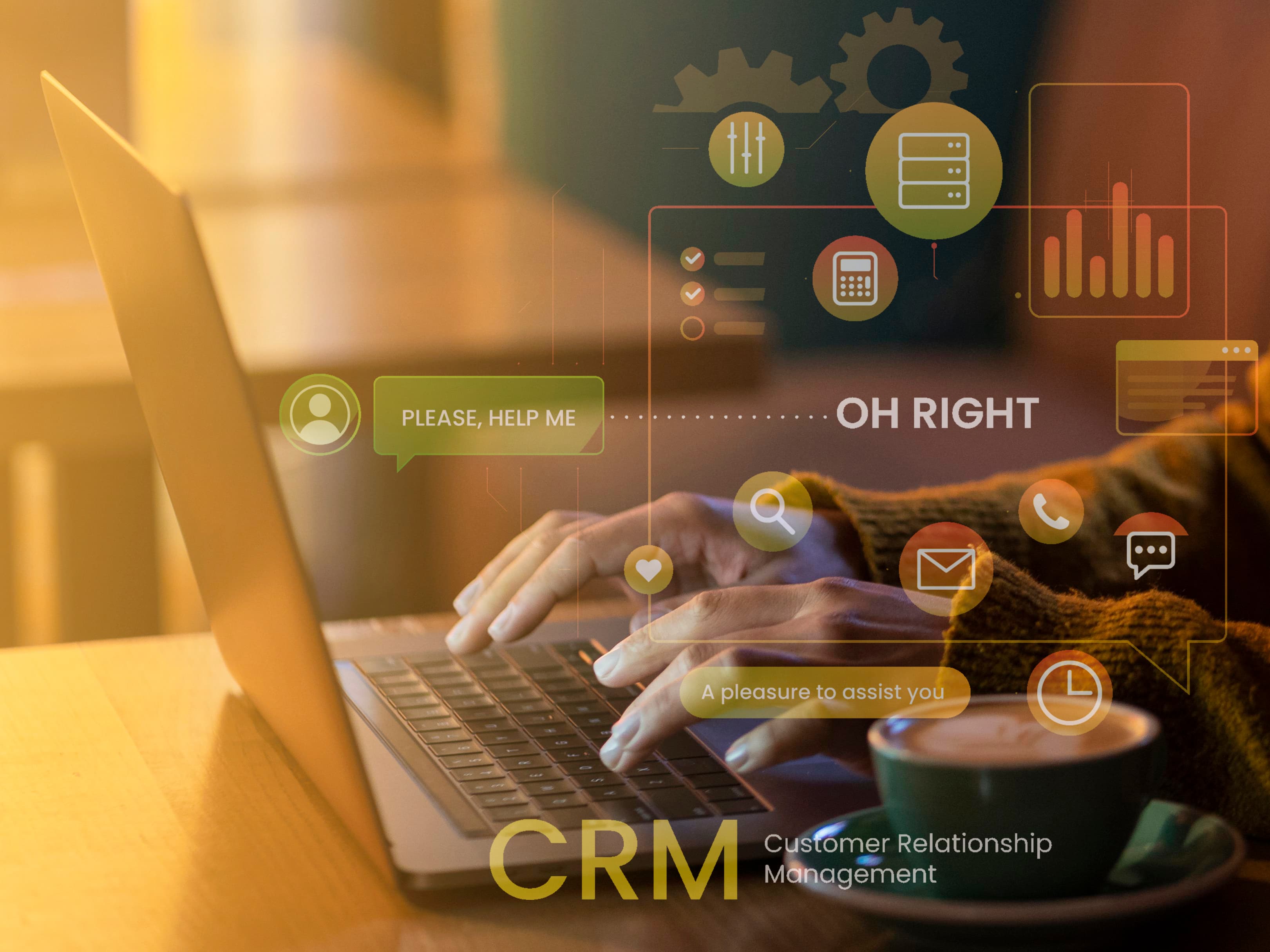 CRM development